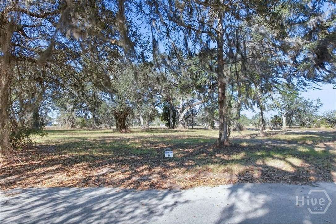 1 Acre of Residential Land for Sale in Midway, Georgia