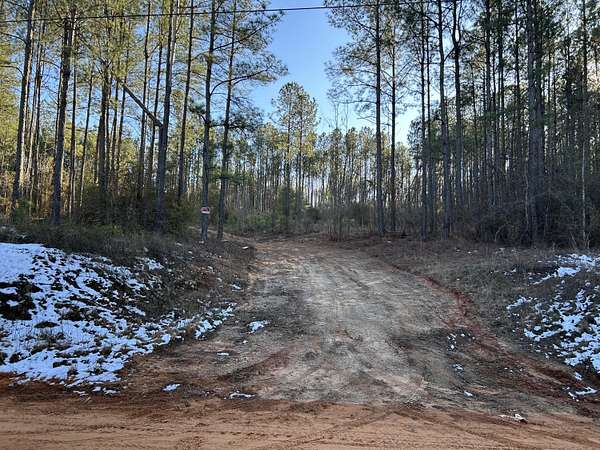 11 Acres of Land for Sale in Keysville, Georgia