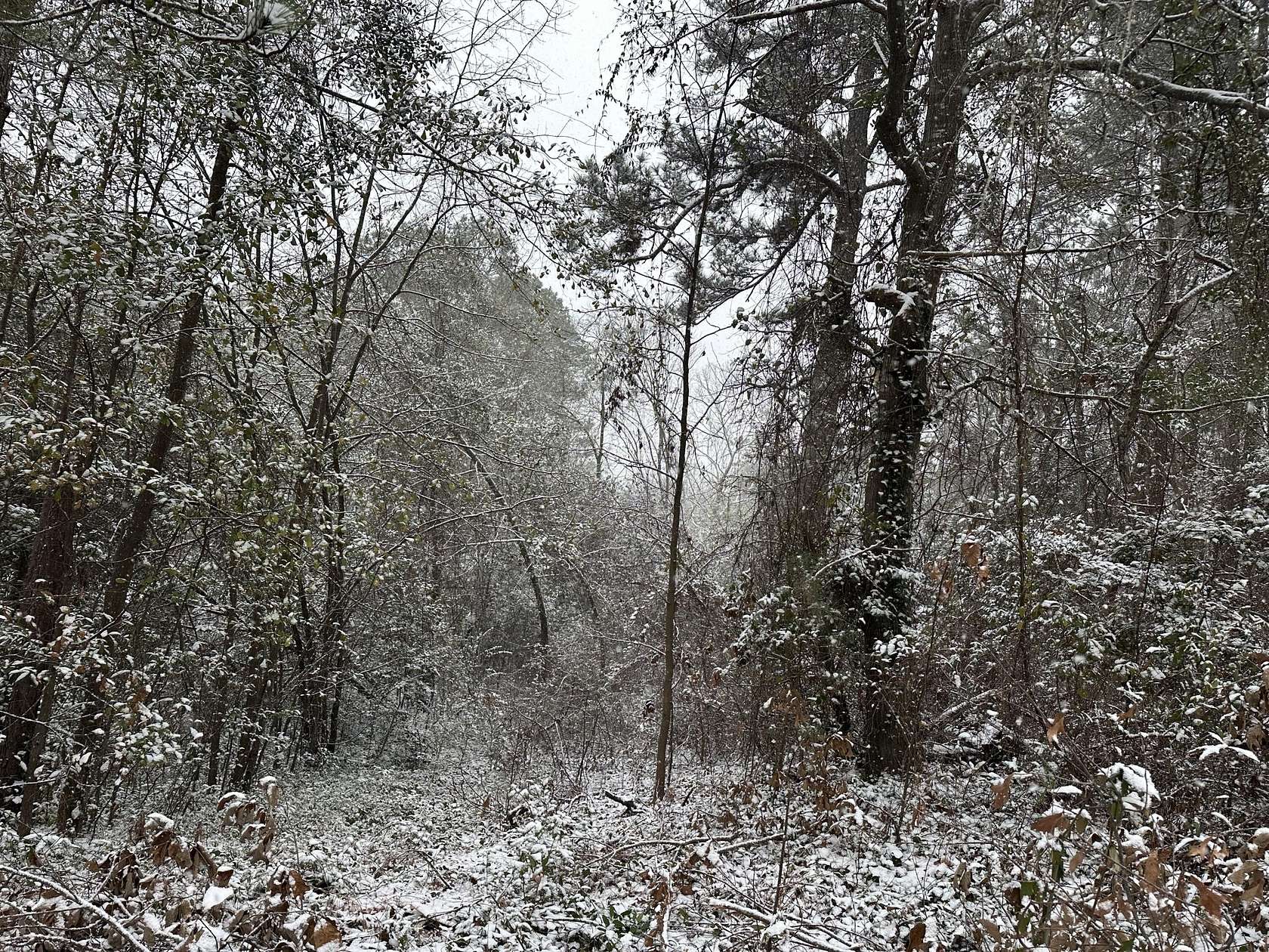 0.29 Acres of Residential Land for Sale in Hephzibah, Georgia