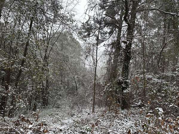 0.29 Acres of Residential Land for Sale in Hephzibah, Georgia