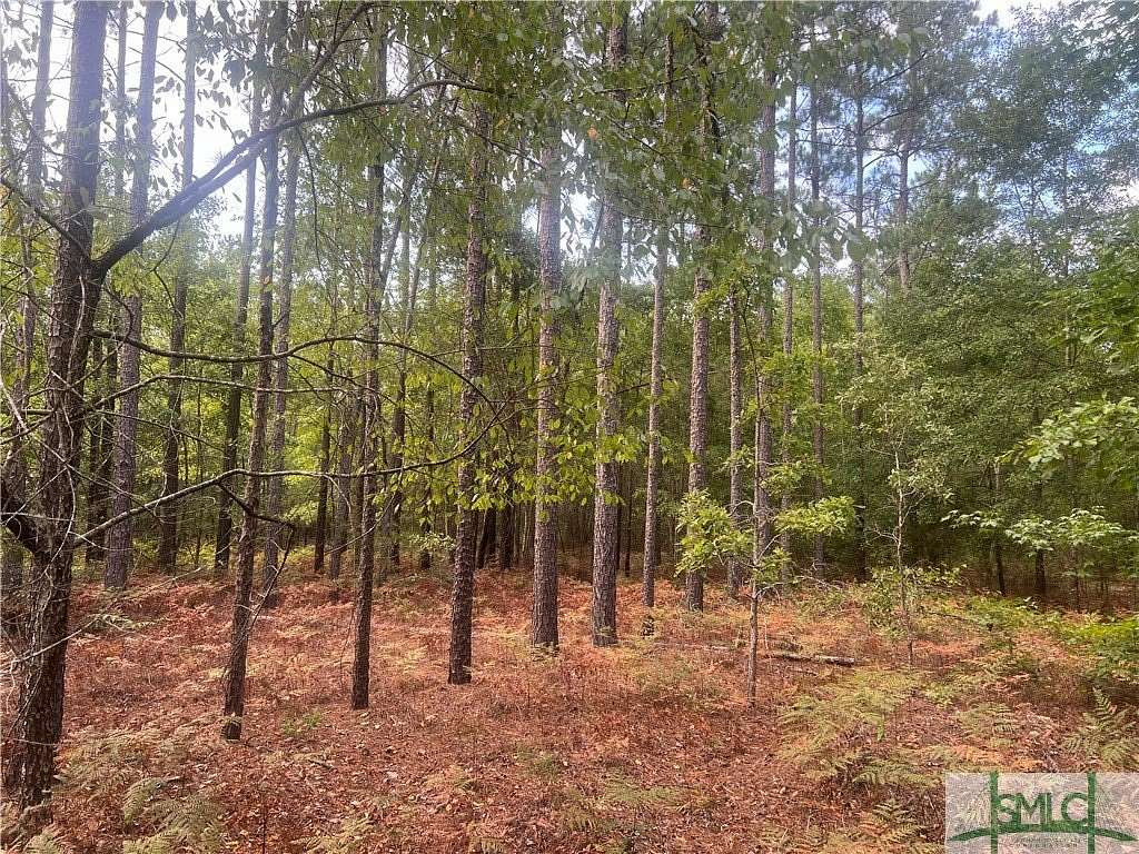 4 Acres of Residential Land for Sale in Twin City, Georgia
