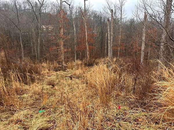 0.98 Acres of Residential Land for Sale in South Charleston, West Virginia