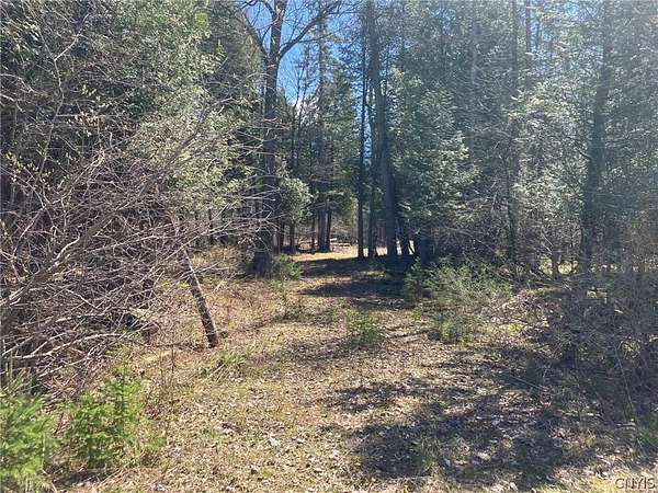 26 Acres of Recreational & Residential Land for Sale in Potsdam, New York