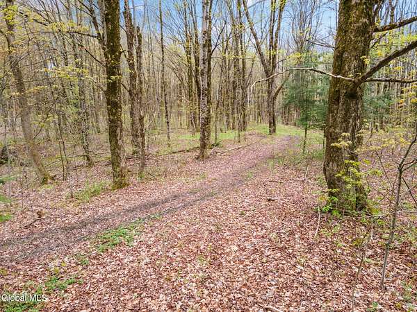14.9 Acres of Recreational & Residential Land for Sale in Pitcher, New York