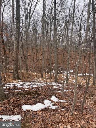 3.58 Acres of Residential Land for Sale in Star Tannery, Virginia