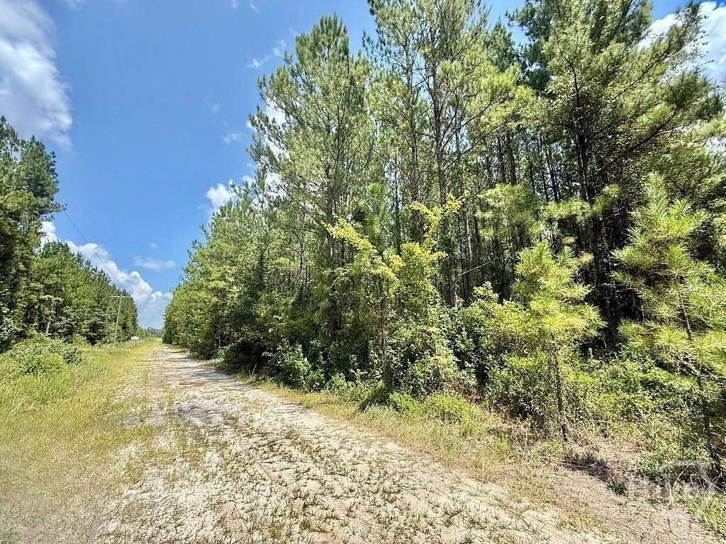 105 Acres of Land for Sale in Ludowici, Georgia