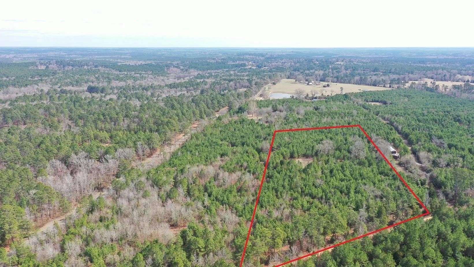 8 Acres of Residential Land for Sale in Linden, Texas