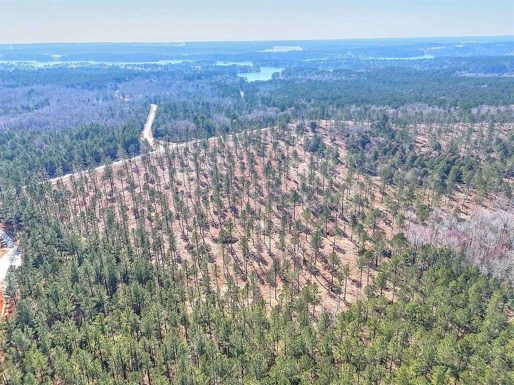 11.4 Acres of Recreational & Residential Land for Sale in White Plains, Georgia