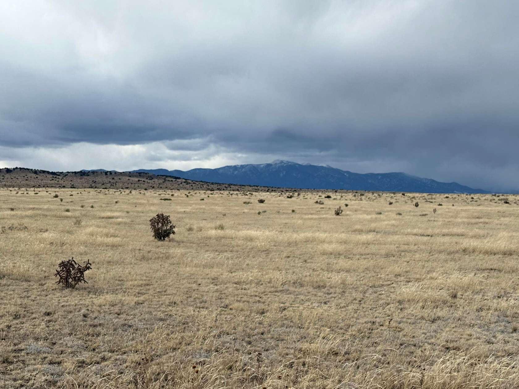80 Acres of Land for Sale in Walsenburg, Colorado