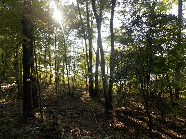 1.36 Acres of Land for Sale in Lincolnton, Georgia