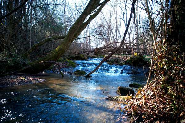 0.75 Acres of Residential Land for Sale in Chuckey, Tennessee