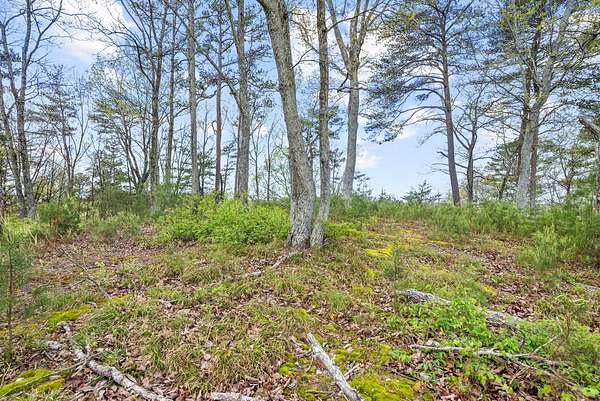 5.45 Acres of Residential Land for Sale in Waverly, Tennessee