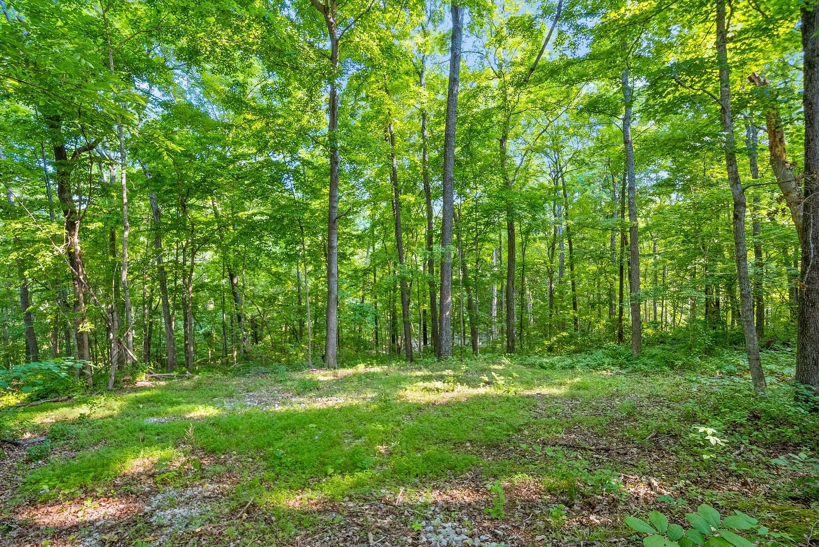 16 Acres of Land for Sale in Clarksville, Tennessee