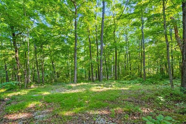 16 Acres of Land for Sale in Clarksville, Tennessee