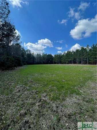 89 Acres of Recreational & Residential Land for Sale in Newington, Georgia
