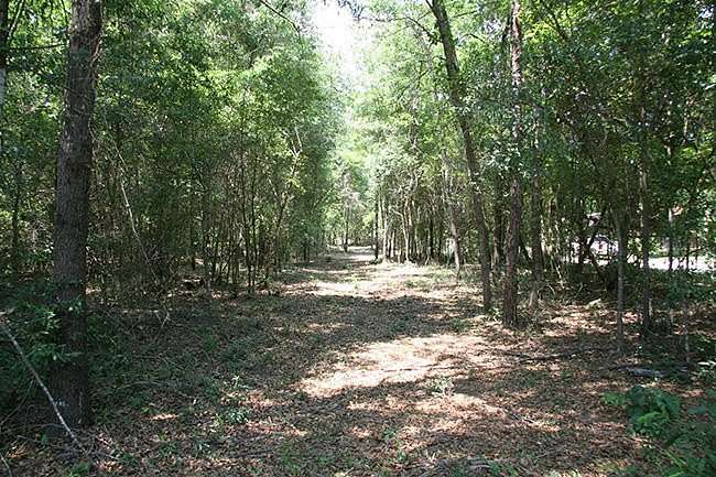 57 Acres of Recreational & Residential Land for Sale in Hephzibah, Georgia