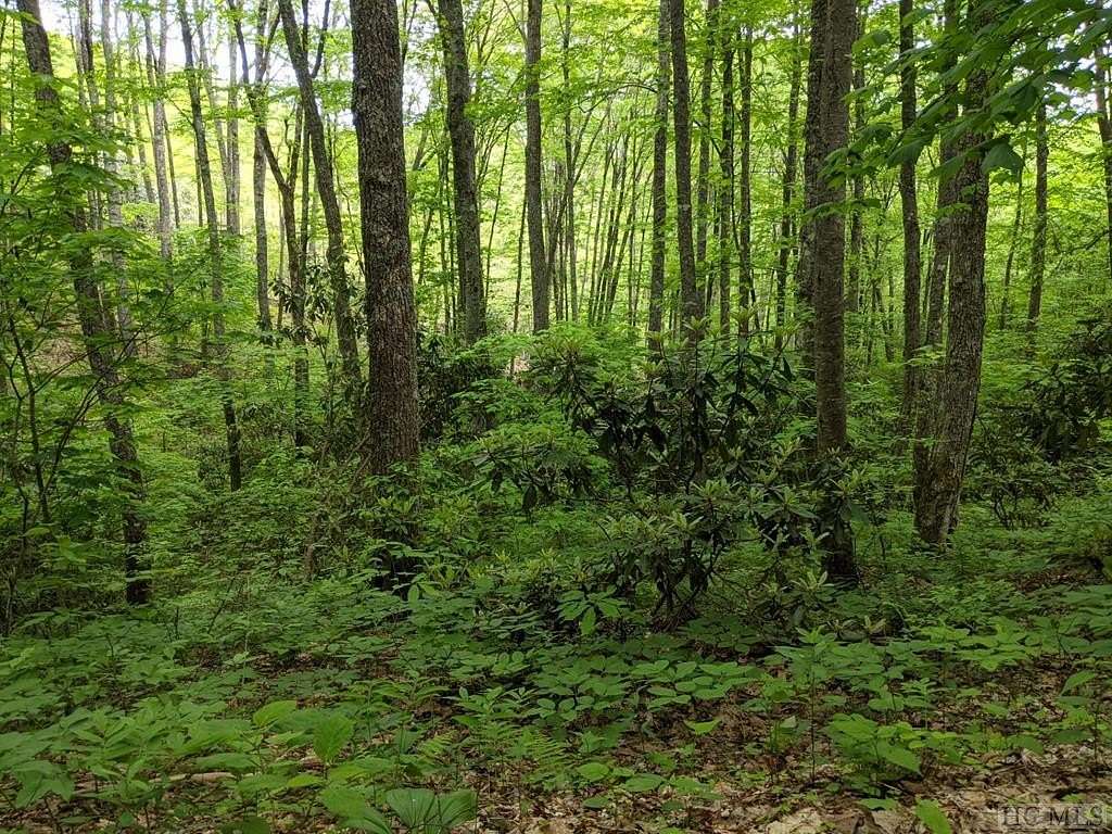 4 Acres of Land for Sale in Cullowhee, North Carolina