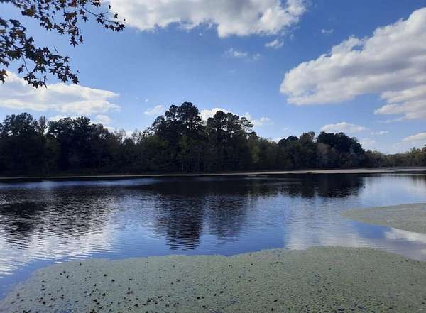 6.83 Acres of Residential Land for Sale in Thomson, Georgia