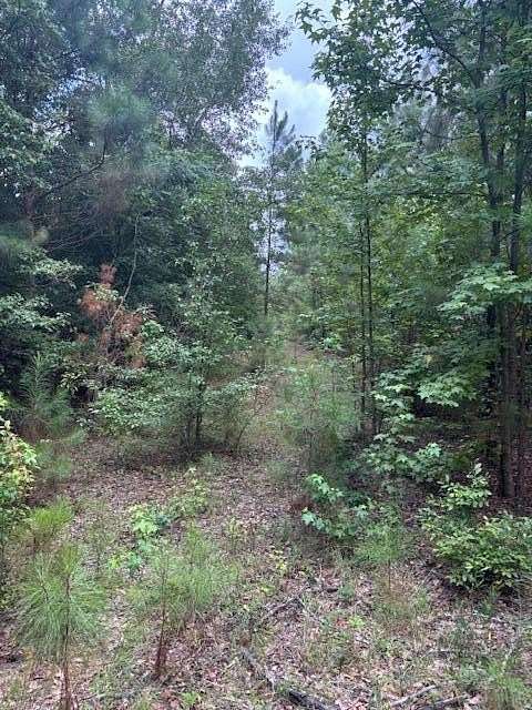 41.2 Acres of Land for Sale in Augusta, Georgia