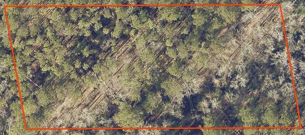 10.4 Acres of Recreational & Residential Land for Sale in Appling, Georgia