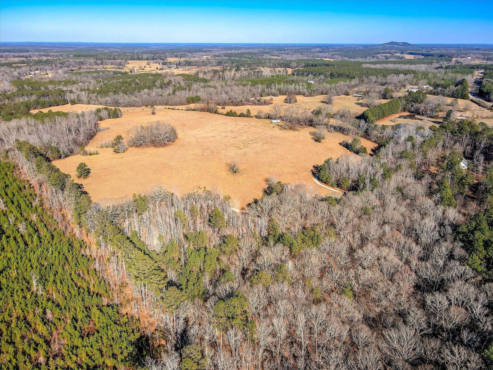 96.1 Acres of Land for Sale in Washington, Georgia