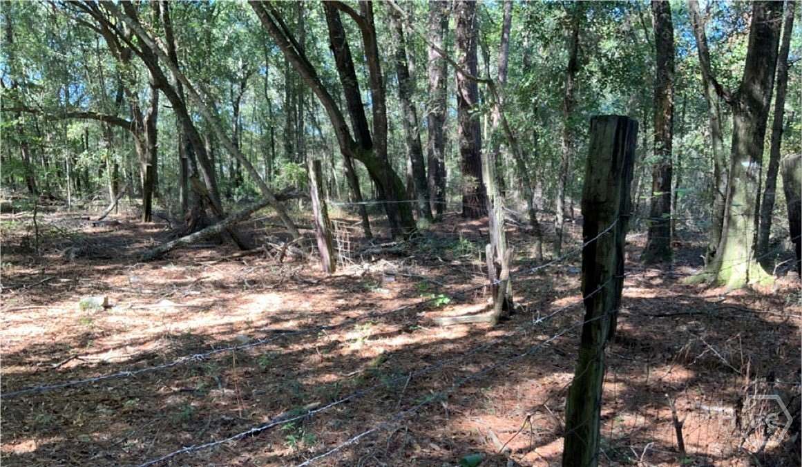 1.5 Acres of Residential Land for Sale in Guyton, Georgia