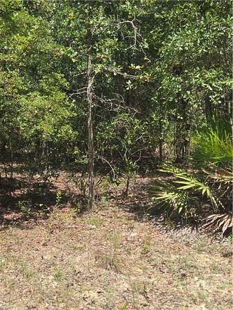 2 Acres of Residential Land for Sale in Glennville, Georgia