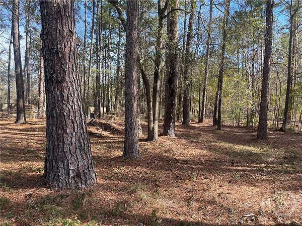 0.48 Acres of Improved Residential Land for Sale in Bloomingdale, Georgia