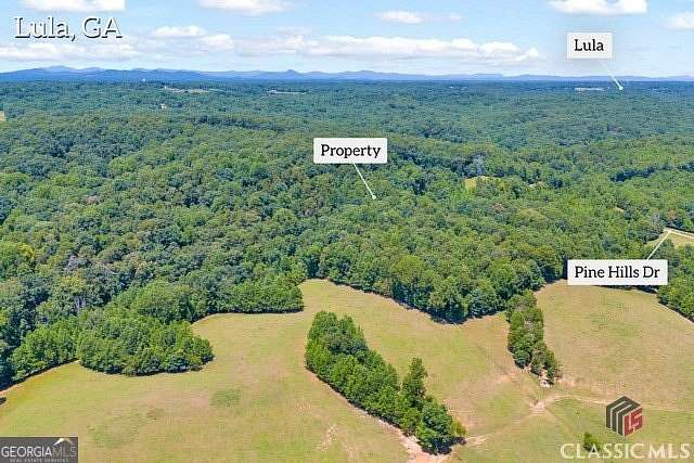 17 Acres of Land for Sale in Lula, Georgia