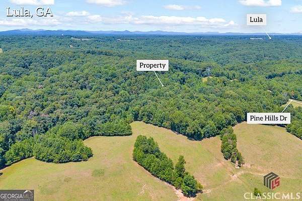 17 Acres of Land for Sale in Lula, Georgia