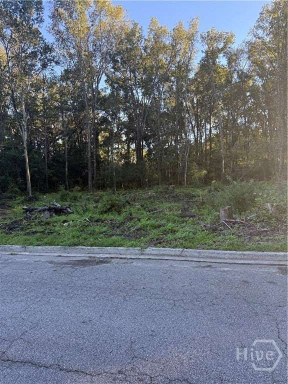 0.28 Acres of Residential Land for Sale in Savannah, Georgia