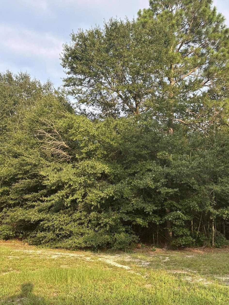 5.5 Acres of Residential Land for Sale in Hephzibah, Georgia