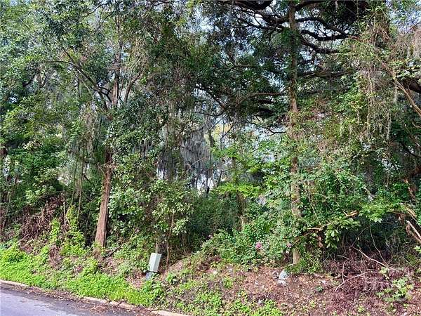 0.06 Acres of Residential Land for Sale in Savannah, Georgia