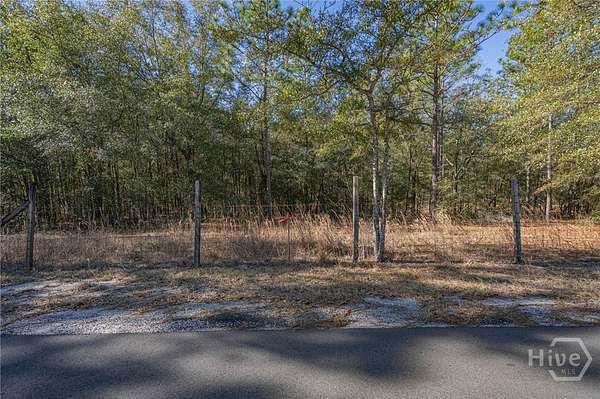 2 Acres of Residential Land for Sale in Eden, Georgia