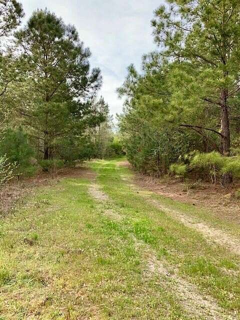 183 Acres of Land for Sale in Hephzibah, Georgia