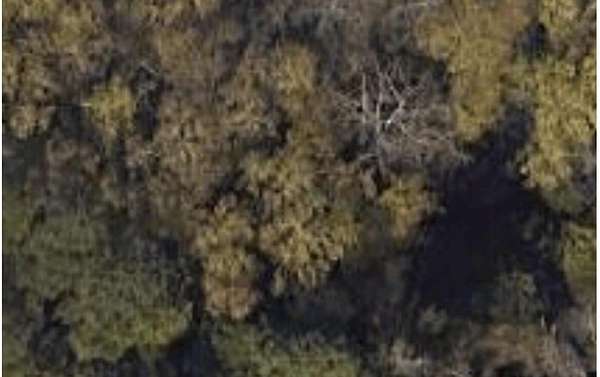 1 Acre of Residential Land for Sale in Martinez, Georgia