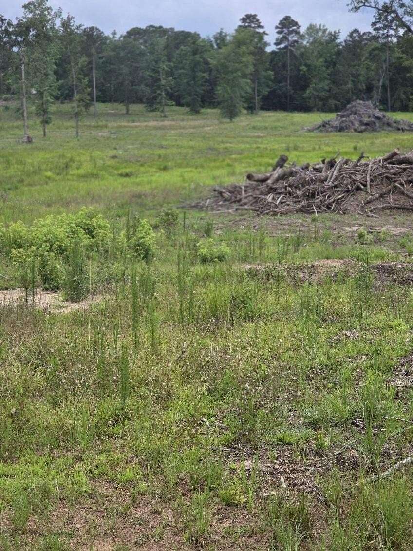 5.89 Acres of Residential Land for Sale in Harlem, Georgia