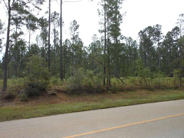 5.6 Acres of Land for Sale in Keysville, Georgia