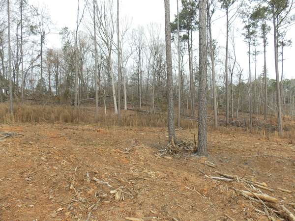 8 Acres of Residential Land for Sale in Lincolnton, Georgia