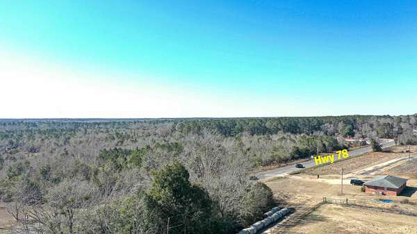 110 Acres of Agricultural Land for Sale in Williston, South Carolina