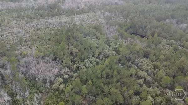 119 Acres of Agricultural & Residential Land for Sale in Pembroke, Georgia