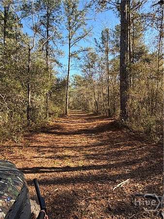 25.6 Acres of Land for Sale in Guyton, Georgia