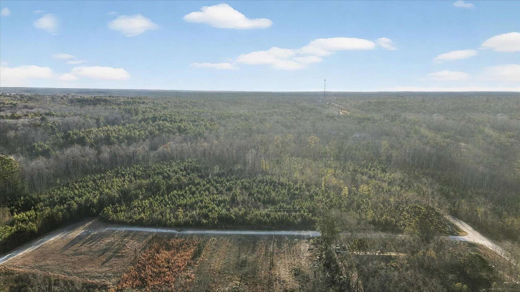 0.46 Acres of Land for Sale in Sardis, Georgia