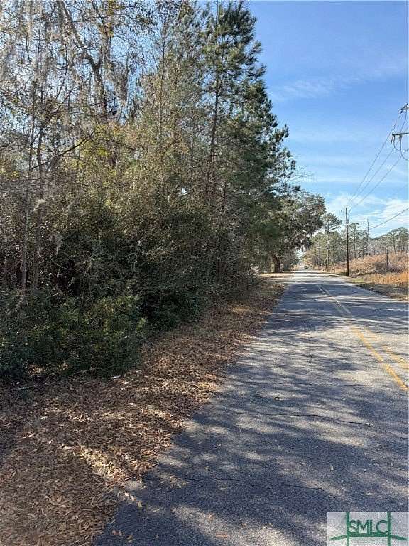 43.9 Acres of Mixed-Use Land for Sale in Port Wentworth, Georgia