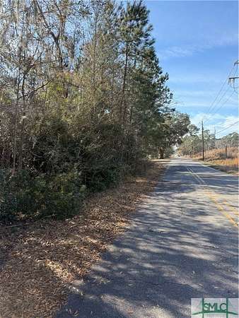 43.9 Acres of Mixed-Use Land for Sale in Port Wentworth, Georgia