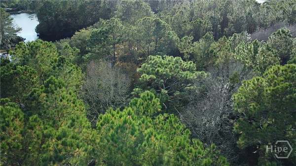 2.5 Acres of Residential Land for Sale in Richmond Hill, Georgia