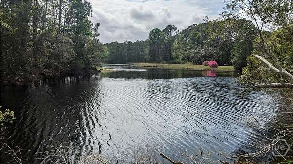 2.5 Acres of Residential Land for Sale in Richmond Hill, Georgia