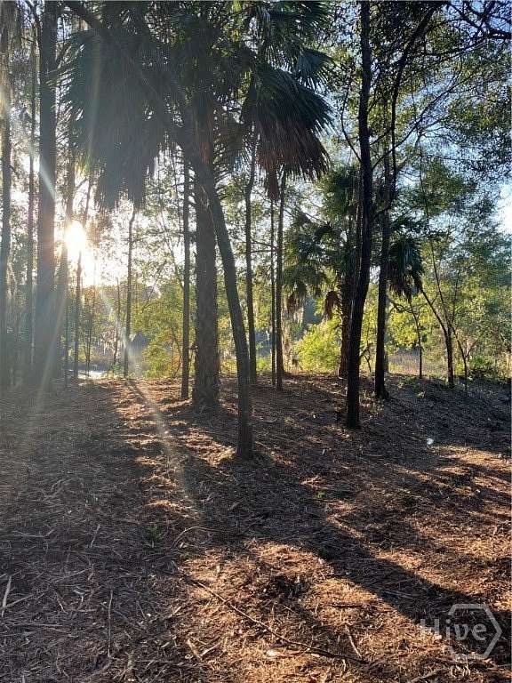0.67 Acres of Land for Sale in Darien, Georgia