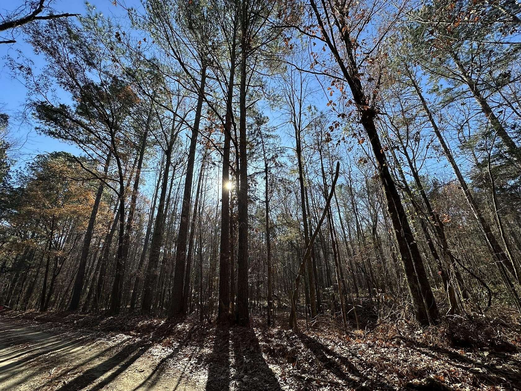 3.3 Acres of Residential Land for Sale in Washington, Georgia