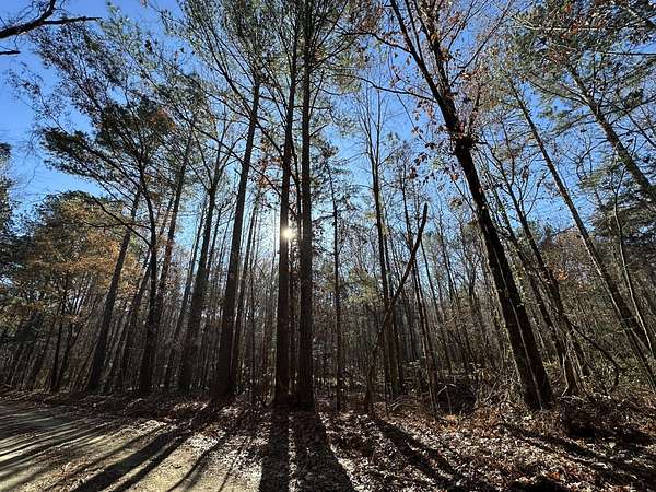 3.3 Acres of Residential Land for Sale in Washington, Georgia